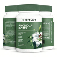 Flash Floraviva Rhodiola Rosea Capsules For Natural Energy GMO Excluded – 3 Pack