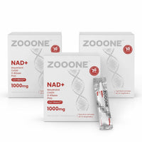 Zoo-One NAD+ Berry Drink Mix – Anti-Aging Cellular Renewal + Mental Focus, 30 Sticks – 3 Pack